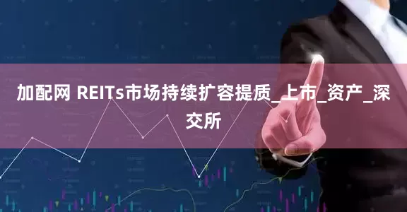 加配网 REITs市场持续扩容提质_上市_资产_深交所