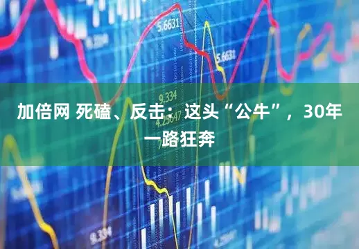 加倍网 死磕、反击：这头“公牛”，30年一路狂奔